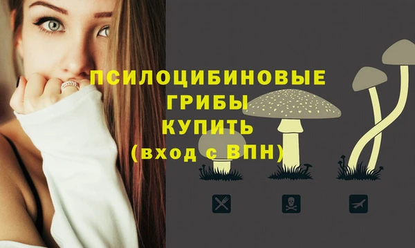Альфа ПВП Гусь-Хрустальный