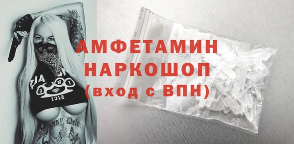 индика Дмитровск